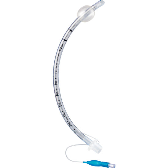 �ӏ��͚�ܲ��(����)